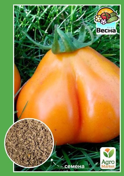 Томат "Трюфель жовтий" ТМ "Весна" 0.1г