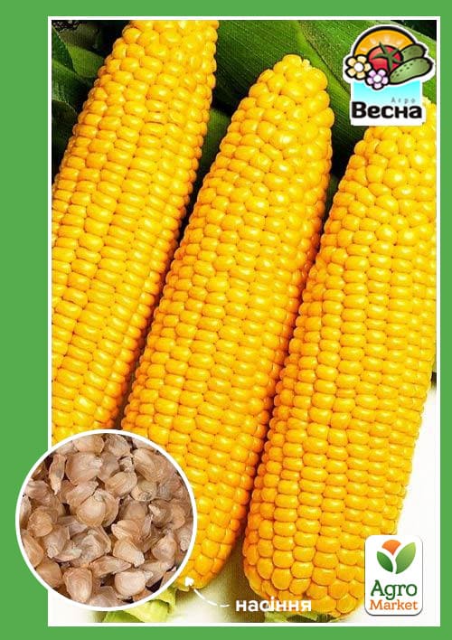 Кукурудза "Солодка дитяча" (Новий пакет) ТМ "Весна" 7г