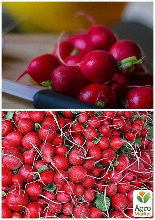 На развес Редис "Подснежник" ТМ "Весна" цена за 10г - фото 3