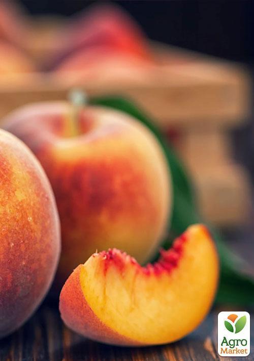 Персик "Августовский" (летний сорт, среднепоздний срок созревания) - фото 5