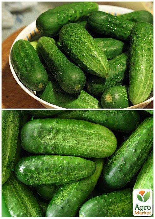 На развес Огурец "Веселые мотыльки" ТМ "Весна" цена за 1г - фото 3