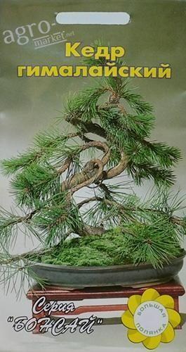 Кедр гімалайський ТМ "Велика галявина" 5шт