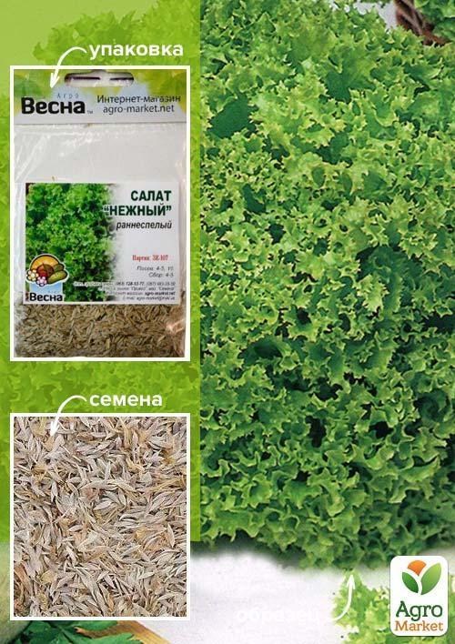 Салат "Нежный" (Зипер) ТМ "Весна" 5г