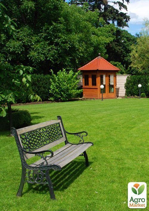 Газонная травосмесь "Стойкий к вытаптыванию" ТМ "Семейный сад" 800г - фото 4