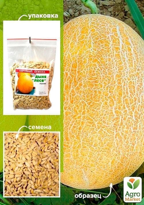 Диня "Леся" ТМ "Весна" 100г