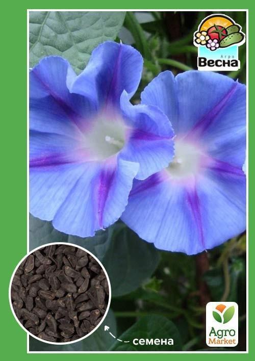 Іпомея "Блакитна зірка" ТМ "Весна" 0,5г