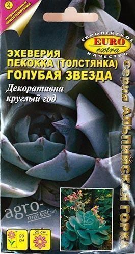 Ехеверія пекокка (толстянка) "Блакитна зірка" ТМ "АЕЛІТА" 10шт
