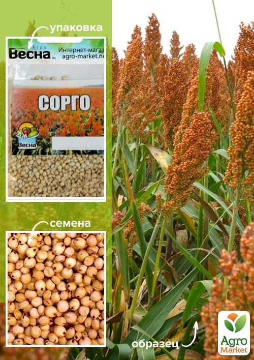 Сорго (Зипер) ТМ "Весна" 15г