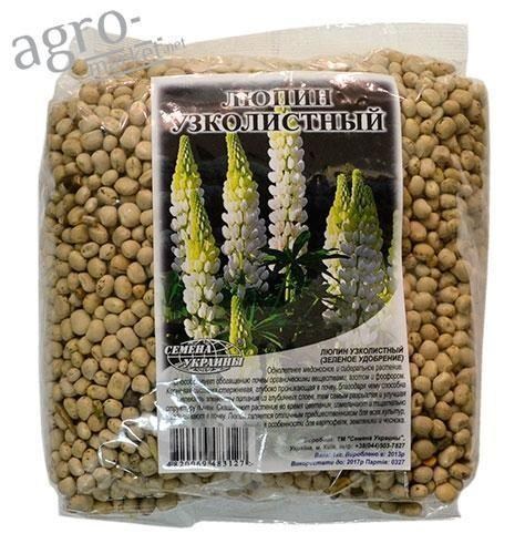 Люпин узколистный ТМ "Семена Украины" 1кг