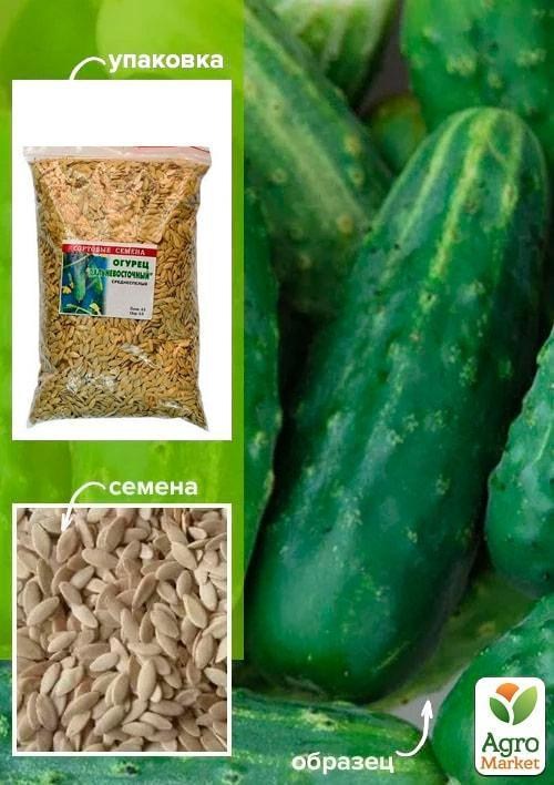 Огурец "Дальневосточный" ТМ "Весна" 500г