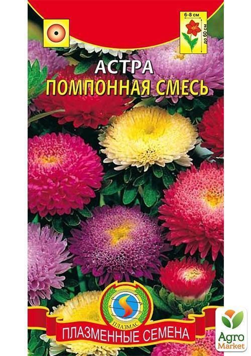 Айстра Помпонна "Красуня" суміш ТМ "Плазмові насіння" 0,3г