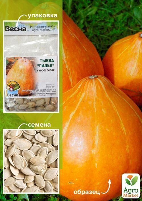 Тыква "Гилея" (Зипер) ТМ "Весна" 8г