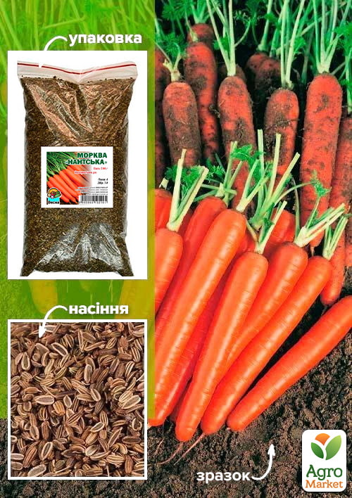 Морковь "Нантская" ТМ "Весна" 500г