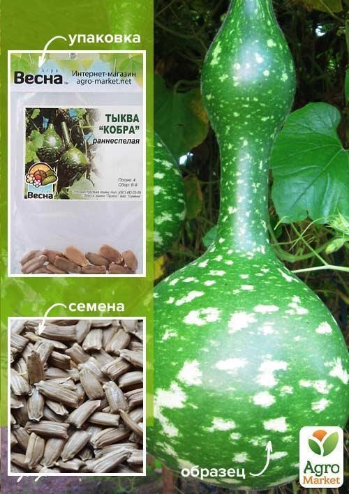 Тыква "Кобра" (Зипер) ТМ "Весна" 7шт