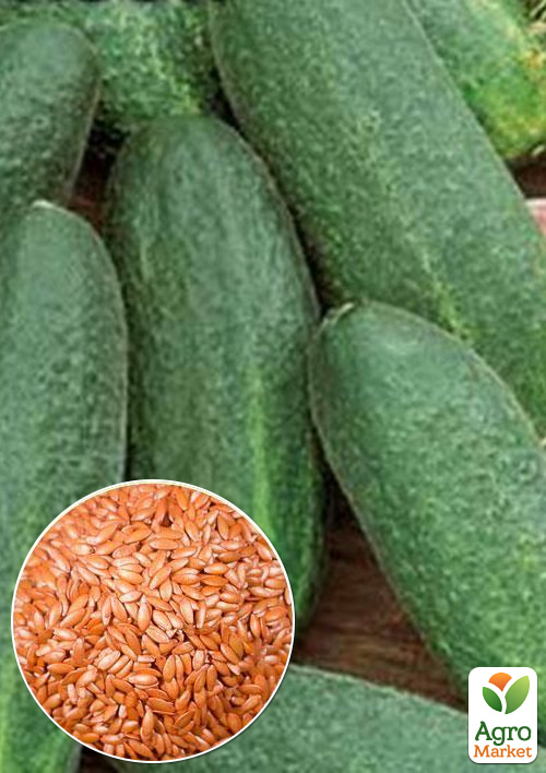 На вагу Огірок "Фасон F1" ТМ "Весна" ціна за 3г