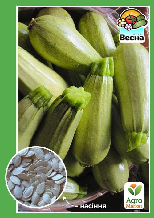 Кабачок "Грибовський 37" ТМ "Весна" 2г