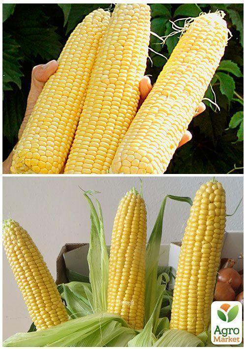 На вагу Кукурудза "Суперсолодка" ТМ "Весна" ціна за 40г - фото 2
