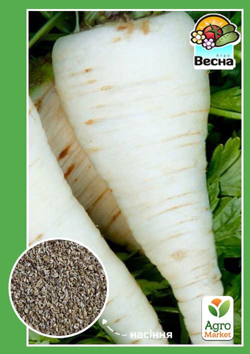 Петрушка корневая "Сахарная" ТМ "Весна" 2г