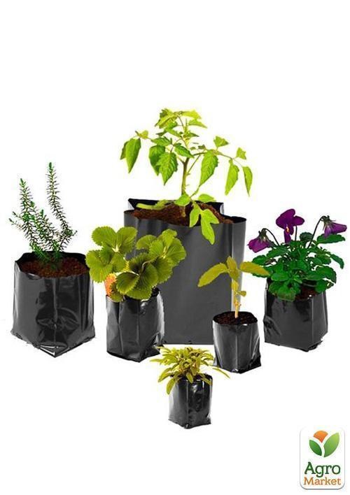 Пакет для рассады, саженцев 11*22см - фото 3