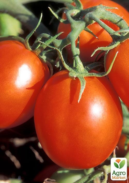 Томат "Томатный король" ТМ "Vesna Select" 0,2г - фото 2