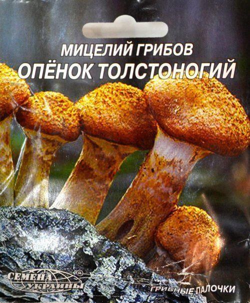 Опеньок "ТОЛСТОНОГОВ" ТМ "Насіння України" 10шт