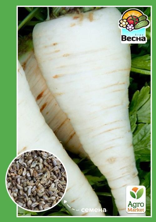 Петрушка "Берлінська" ТМ "Весна" 2г