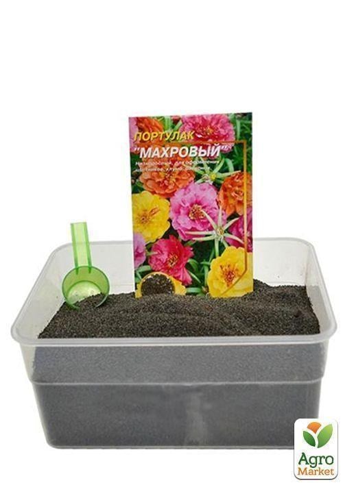 На развес Портулак махровый ТМ "Весна" цена за 1,5г - фото 3