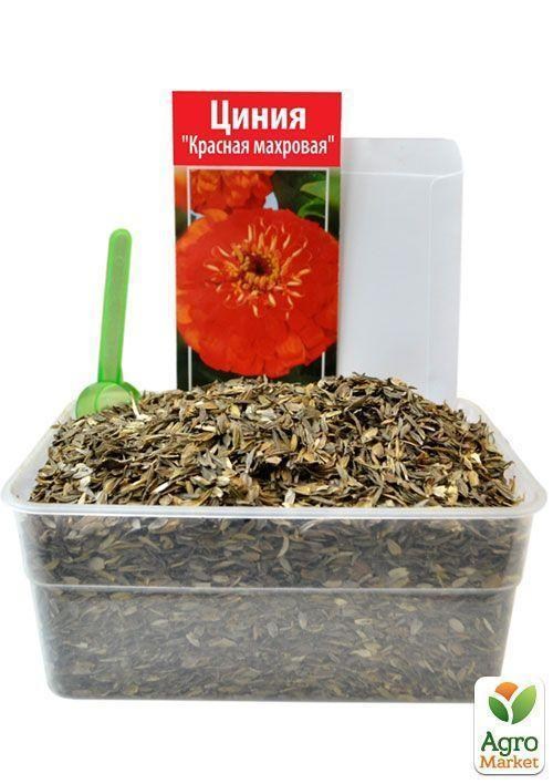 На вагу Цинія "Червона махрова" ТМ "Весна" ціна за 4г - фото 4