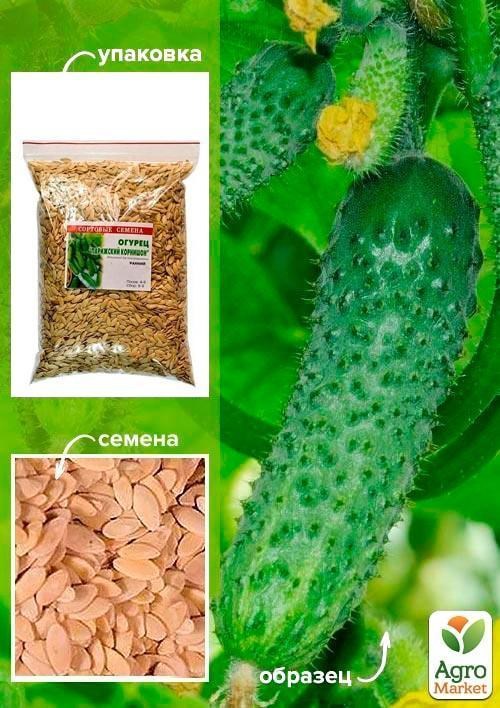 Огірок "Паризький корнішон" ТМ "Весна" 500г