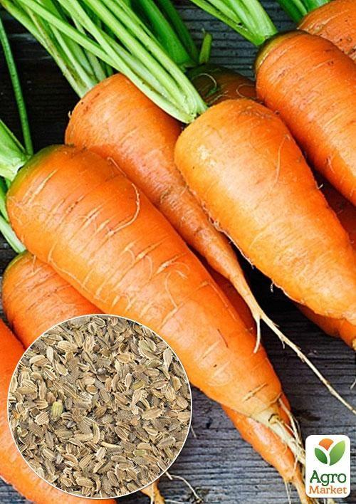 На развес Морковь "Артек" ТМ "Весна" цена за 10г