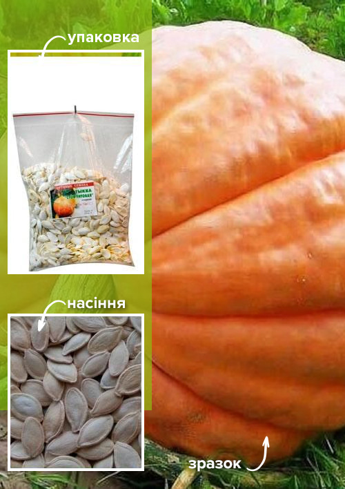 Гарбуз "Стофунтовий" ТМ "Весна" 500г