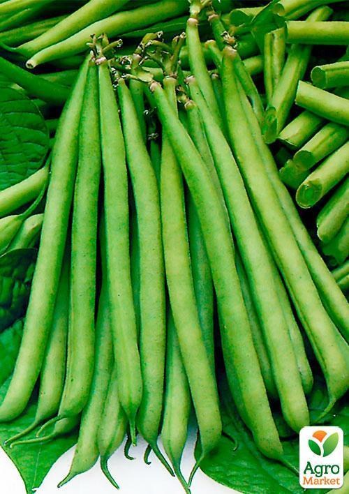 Квасоля спаржева "Зелена" (Зипер) ТМ "Весна" 5г - фото 3