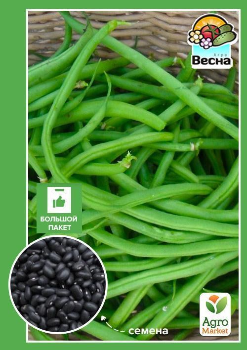Квасоля спаржева "Грибний Аромат" (Великий пакет) ТМ "Весна" 5г