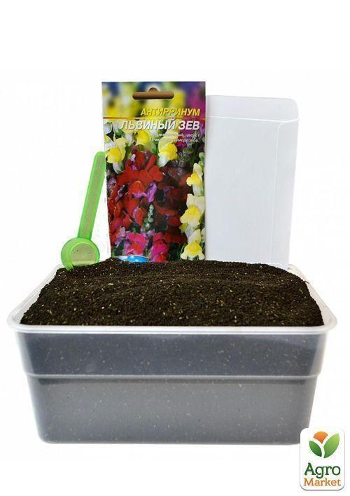 На развес Львиный зев смесь ТМ "Весна" цена за 1г - фото 4