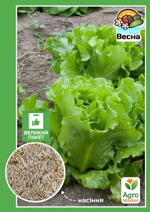 Салат "Одесский кучерявец" (Большой пакет) ТМ "Весна" 3г