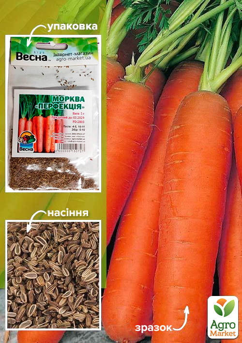 Морковь "Перфекция" (Зипер) ТМ "Весна" 5г