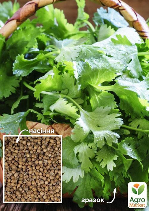 Кориандр "Бородинский" ТМ "Весна" 500г