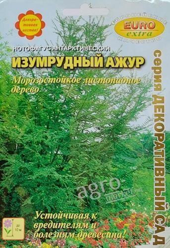 Нотофагус антарктический "Изумрудный ажур" ТМ "Аэлита" 0.04г