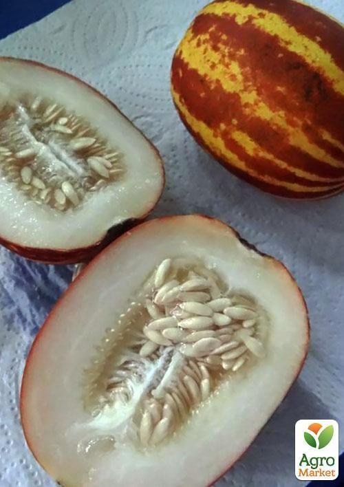 Огурдыня "Фазано" ТМ "Vesna Select" 5шт - фото 5