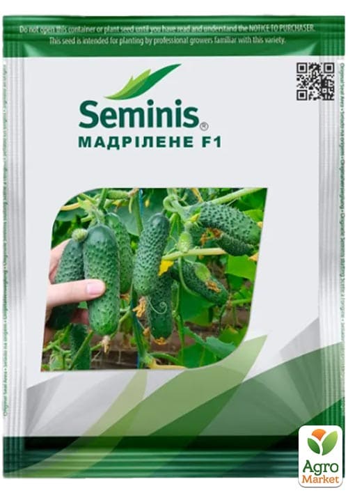 Огірок "Мадрілен" ТМ "Seminis" 250шт