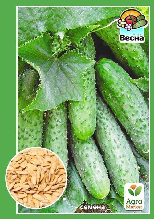 Огірок "Хрусткий сніданок F1" (Новий пакет) ТМ "Весна" 0.25г