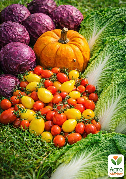 Комплект овощей на развес "День урожая" 15уп