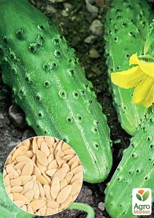 На развес Огурец "Дальневосточный" ТМ "Весна" цена  за 2г