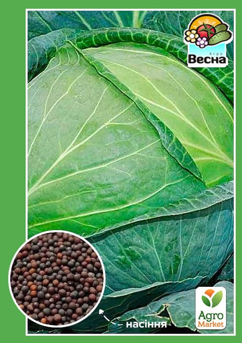 Капуста позднеспелая "Бирюза" ТМ "Весна" 0.5г