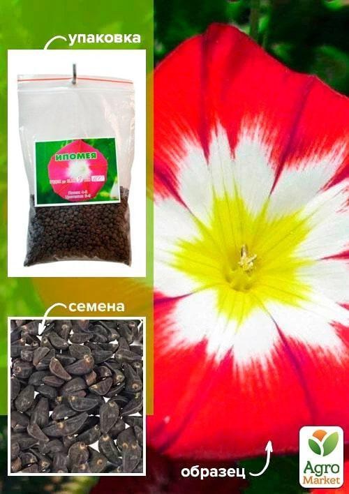 Ипомея красная ТМ "Весна" 100г