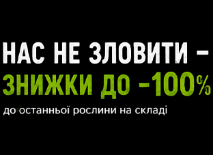 Знижка -100% до останньої рослини!
