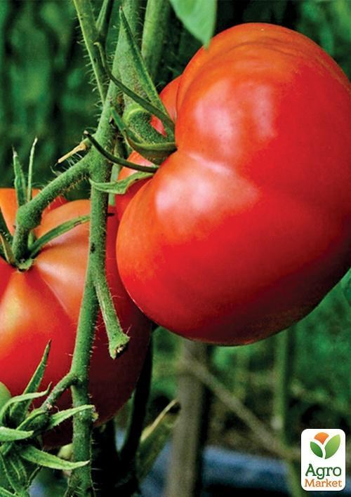 Томат "Proud Gardener" ТМ "Vesna Select" 0.2г