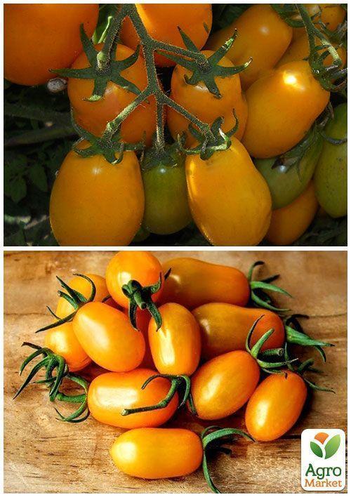 На развес Томат "Обериг" ТМ "Весна" цена за 1г - фото 4