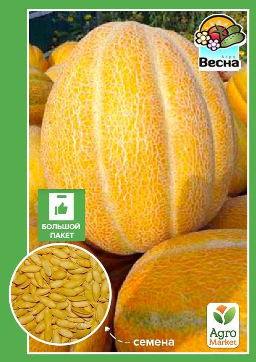 Дыня "Эфиопка" (Большой пакет) ТМ "Весна" 2,5г