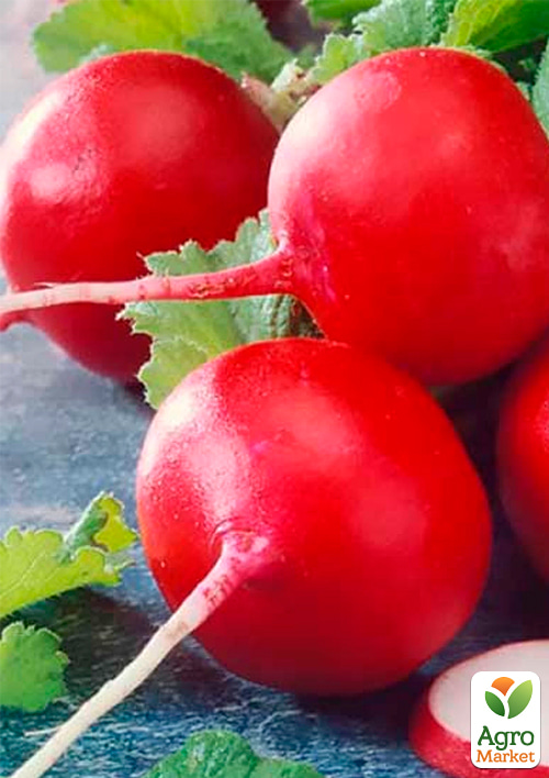 Редис "Ризенбуттер" ТМ "GSN Semences" 500г